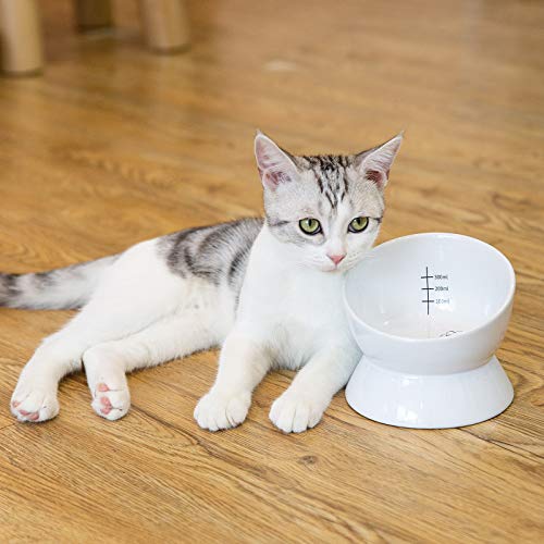 Yangbaga Raised Cat Food & Water Bowl, 4.96 in High Cat Food Bowl for Indoor Cats, Reduce Neck Burden & Easy to Clean - Image 7