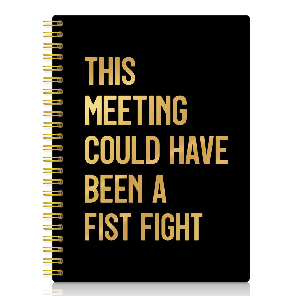 Cadeau d'humour sarcastique de bureau : carnet à spirales pour le Nouvel An