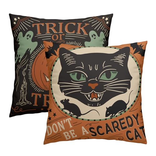 【Good Material】: Our vintage halloween pillow covers are made of cotton and has an invisible zipper. The pillow cases are well made, strong moisture absorption, soft and comfortable touch, good skin-friendly effect. Not only will it protect your pill...