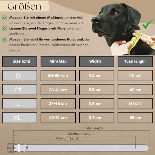 Ben&Bruno Hundehalsband | Breit & Verstellbar | 100% Handgefertigt | Robust, Sicher & Langlebig | Starkes Paracord Halsband | Halsbänder für Kleine, Mittelgroße & Große Hunde | Schwarz - L