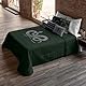 Belum Harry Potter Bettdecke, 250 g, Modell Slytherin Values für 90 cm Bett (190 x 270 cm)