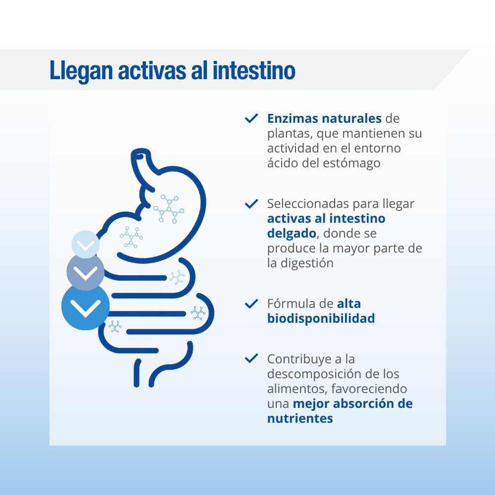 Lamberts Digestizyme® | 100 Cápsulas | Apto para Veganos | Enzimas Digestivas Origen Vegetal | Lipasa, Amilasa, Proteasa, Bromelina y Papaína | Amplio Espectro | Calidad Farmacéutica GMP