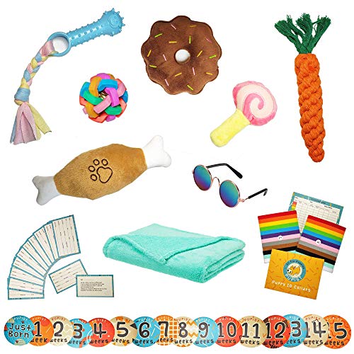 Newborn Dog Kit â€“Weekly Stickers and Photo Props; Plush Fleece Blanket; Puppy ID Collars and Whelp - //coolthings.us