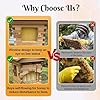 Complete Beekeeping Starter Kit: Self-Flowing Honey Beehive with Observation Window & Honey Spout, Complete Wooden Bee Box with 4 Frames & 6 Trays for Garden Pollinators, Beginner-Friendly