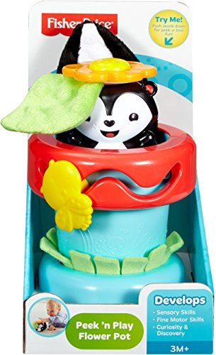 Amazon Com Fisher Price Peek N Play Flower Pot Toys Games