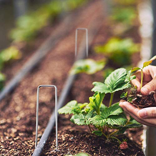 Gearwoo Galvanized Garden Stakes Landscape Staples: 50 Pack 6 Inch Sod And Fence Stake - Sturdy Rust Resistant Gardening Supplies For Anchoring Landscaping, Weed Barrier Fabric, Ground Cover #TOP2