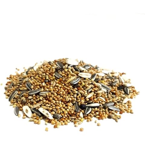 Maltbys' Stores 1904 Limited 5kg COCKATIEL and PARAKEET SEED MIXED CAGE BIRD FOOD Cover