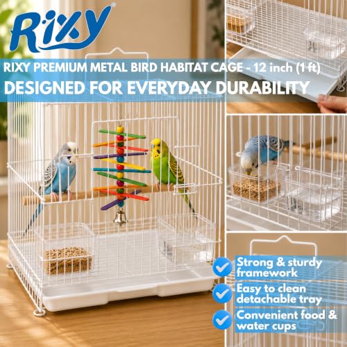 Image of Rixy Metal Bird Cage - 12 inch (1 feet) | Free Hanging Toy (1) | Habitat Cage with Perch (1) + Food & Water Feeder Cups (2) for Budgies, Lovebirds, Finches, Canaries & Baby Chicks (Colour May Vary)