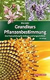 Grundkurs Pflanzenbestimmung: Eine Praxisanleitung für Anfänger und Fortgeschrittene (Quelle & Meyer Bestimmungsbücher)