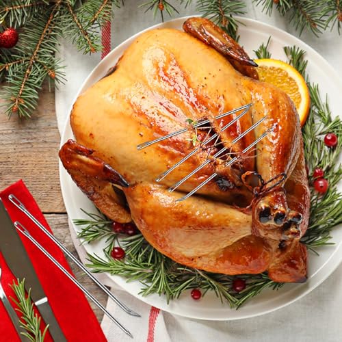 ofargo meat trussing needles roasting trussing needles for lacing roast turkey chicken pork skin whole hog lamb and rotisserie pig 3pcs curved needles and 3pcs straight needles 6pcs in all