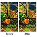 Prasacco Algae Scraper for Glass Aquariums, 21