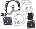 Sierra 18-7248 Carb Kit 439079/439078