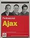 Professional Ajax (Programmer to Programmer)