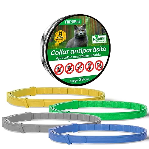 Collar Antiparasitos para Gato 8 Meses de Protección. Eficaz contra Pulgas, Garrapatas, Mosquitos y Piojos. Resistente al Agua. 70 cm. de Largo, Ajustable. FILIPET. (Gris)