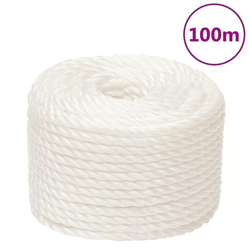 Generisch Bodenarbeitsseil Pferd, Survival Ausrüstung,Wear-Resistant and Weatherproof, Easy to Handle, Ideal for Use Around The House, in The Garden, and in The Workshop, (Weiß, 16 mm, 100 m)