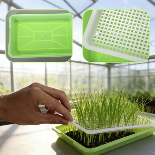 Kresse Anzuchtschalen Keimschalen für Sprossen Microgreens Anzuchtschale Keimschale Sprossenschale Microgreen Anzuchtset Kressesieb Starter Set Anzucht Sprouting Micro Greens Samen Keimsprossenbox