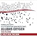 Aquaphor Healing Ointment - Travel Size Protectant for Cracked Skin - Dry Hands, Heels, Elbows, Lips, Packaging May Vary, 1.75 Ounce (Pack of 3)