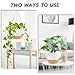 ZMTECH 10 Inch Hanging Planters for Outdoor Plants, Hanging Pots for Plants Indoor with Visible Water Level, Hanging Flower Basket with Drainage Holes & Removable Tray(2 Pack, White)