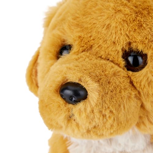 Zappi Co Bailey der Goldene Retriever Plüschhund (20 cm) - Goldie Hund - Weich, Kuschelig, Recycelt - Perfekter Familienbegleiter