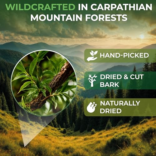 Image of 4 oz. White Willow Bark Tea Herbal (Salix Alba) - 113g White Willow Bark Herb Tea Corteza De Sauce