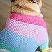 Khemn Regenbogen Strickpullover Hundepullover - Niedliche Hundekleidung für Französische Bulldogge/Englische Bulldogge/Bullterrier/Mops (L)