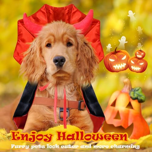 Disfraz Vampiro para Perros Talla Large Halloween miniatura 4