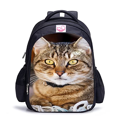 Sac à dos de mode de chat le cadeau idéal de voyage scolaire pour filles et garçons