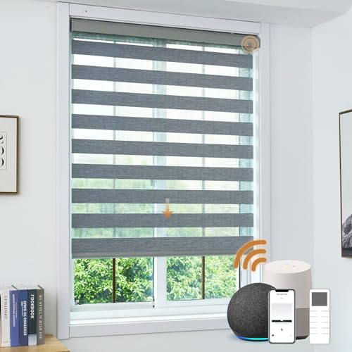 JOYENG Motorized Zebra Blinds,Dual Layer Shades with Privacy Light Control, Smart with Alexa Google,Electric Horizontal Blind,Rechargeable Remote Shade for Windows,Customized Size
