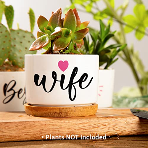 Gifts for Wife from Husband, Anniversary Birthday Gifts for Her, Best Wife Ever Succulent Pots, Romantic Present for Wife, Arrive Beautifully Gift Boxed - Image 4
