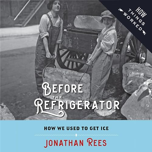 Before the Refrigerator by Jonathan Rees episode artwork