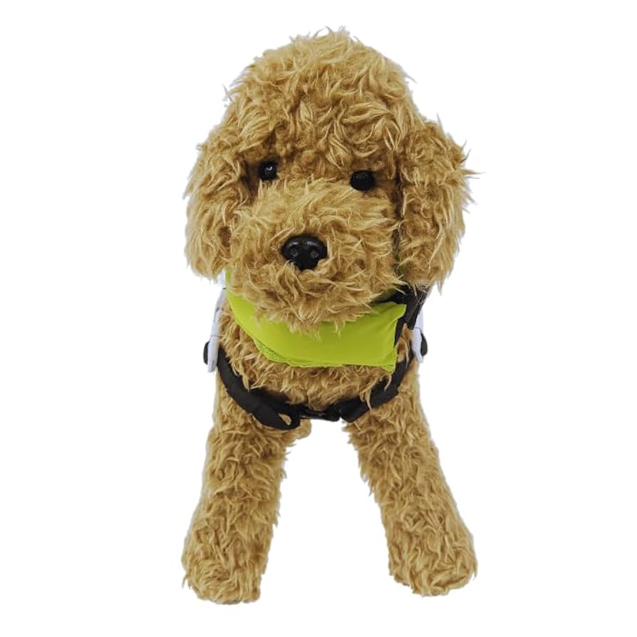 PFI ピーファイ　ライフジャケット　日本製犬 Amazon | PFI(ピーファイ) 犬用 フローティングベスト ライフ