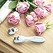 Microneedle Derma Roller Kit for Face and Body -.25MM + BONUS Microneedling Replacement Head (.25MM) & FREE Microneedle Roller Case (Microneedle Roller for Face; Dermaroller Facial Roller)