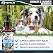 Vetflix Cranberry UTI & Kidney Support for Dogs & Cats - Made in USA - Natural Urinary Tract Health Supplement - Supports Immune & Bladder Function - 2 Fl Oz