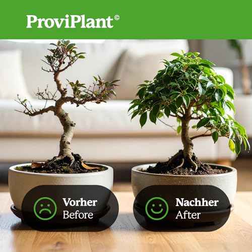 ProviPlant Bonsai Flüssigdünger – Spezialdünger für alle Bonsai-Arten – 1 Liter Konzentrat für bis zu 200 Liter Gießwasser – Indoor & Outdoor – Made in Germany