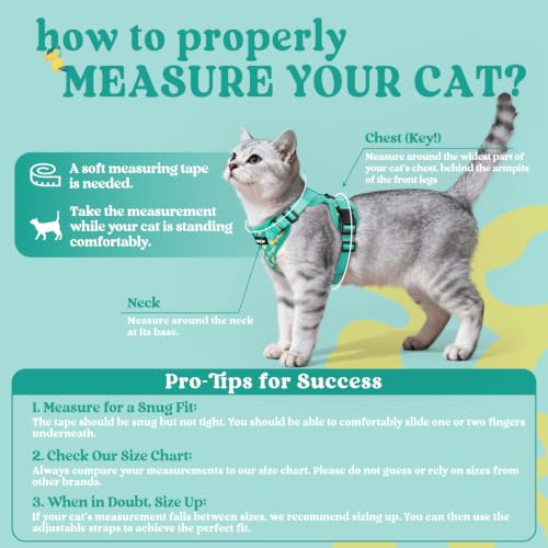 Image of rabbitgoo Cat Harness and Leash Set, Escape Proof Vest, Lemon Grove
