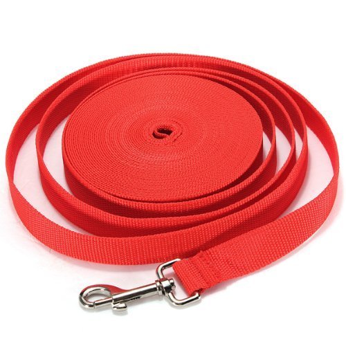 20FT/6M Long Leash Dog Obedience Recall Training Agility Lead for Training Play Camping or Backyard (Red)