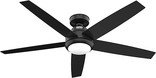 Hunter Fan Company 51694 Zayden - Ventilador de techo, 52, negro mate