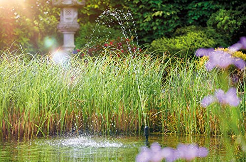 Oase Waterspeelpomp Aquarius Vulset 1000 - Image 5