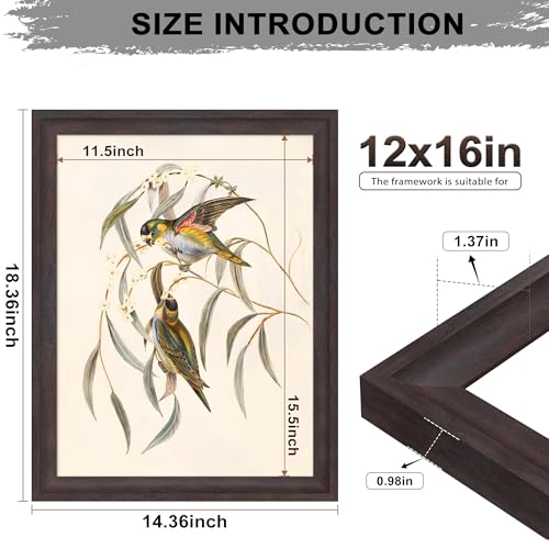 Image of 12x16 Frame Walnut Brown, Thick Poster Frames 12 x 16 for Picture Gallery, Horizontal or Vertical Wall Decoration