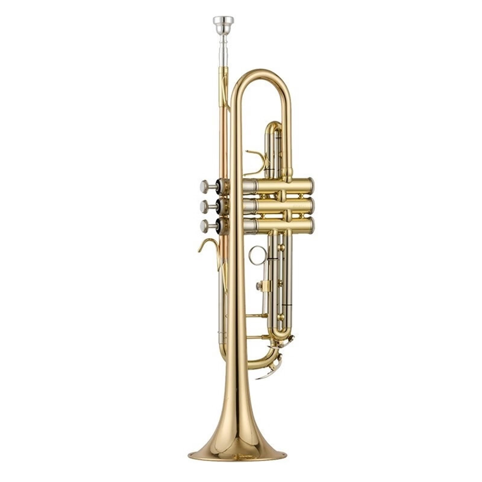 trompeta estándar Instrumento de trompeta Si bemol estudiante toca instrumentos de viento y metal para examen de grado