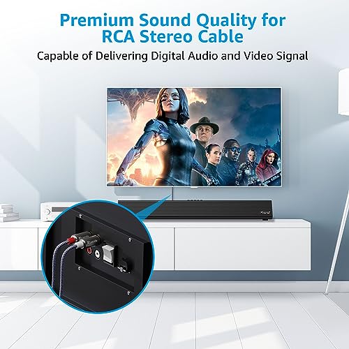 Ruaeoda 2RCA Cable 6 ft, 2RCA Male to 2RCA Male Stereo Audio Cables Shielded Braided 2RCA Stereo Cable for Home Theater, HDTV, Amplifiers, Hi-Fi Systems, Car Audio, Speakers