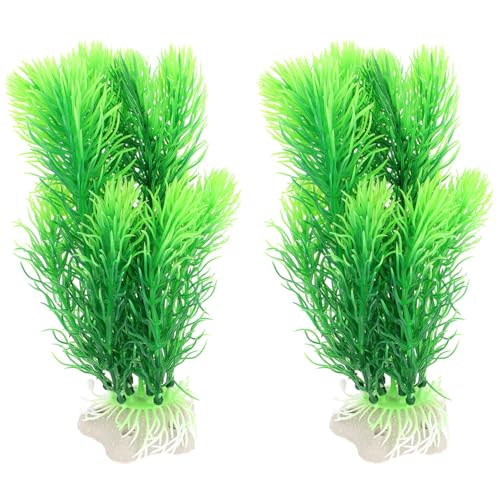 LOLIPPYY lH 2 ptFCNA vX`bNI[ig RȐ ANAẼCAEg