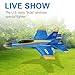 RC Airplane, Sacow FX-823 2.4G 2CH RC Airplane Glider Remote Control Plane Outdoor Aircraft (A)