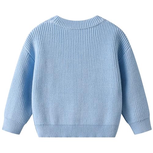 IWIHMIV Girl's Crewneck Fall Sweaters Kids Long Sleeve Cute Embroidered Pullover Toddler Lightweight Sweater2