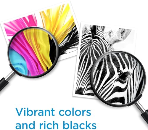 Image of HP 934XL Blk /935 CMY Original Ink Bundle for OfficeJet /Pro 6230 /6830