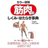 カラー図解　筋肉のしくみ・はたらき事典