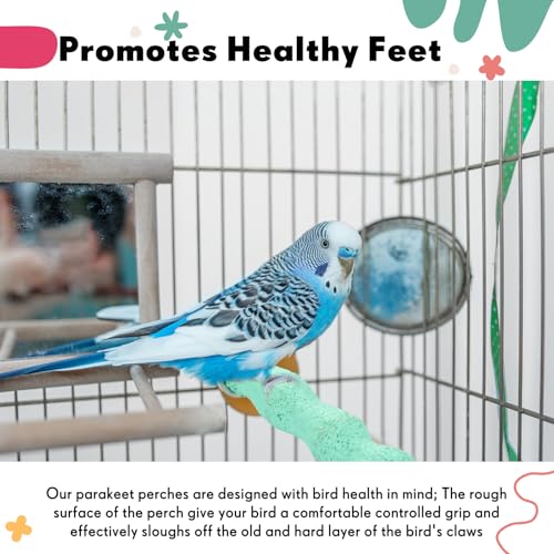 Image of Soulchen 4 Pcs Bird Beak Grinding Calcium Stone Perches Large 4.8 Inch Parrot Teeth Mouth Molar Cage Platform Paw Grinding Sticks Jumping Stand for Macaws Parakeets Finches Cockatiel(Green,Pink)