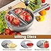 Food Mill Stainless Steel for Tomato Sauce with 3 Grinding Discs, Milling Handle & Stainless Steel Bowl, Ergonomic design Of Rotary Food Mills For Potatoes