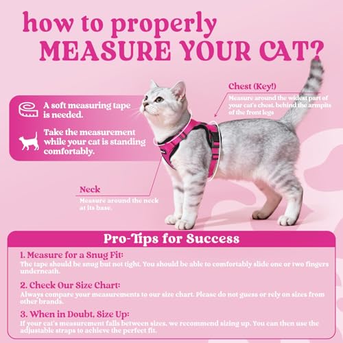 Image of rabbitgoo Cat Harness and Leash Set, Escape Proof Vest, Rose Red | Soft Breathable Mesh, Easy Adjustable Fit, Snap Buckles, Sturdy Clip, Reflective Strips, for Kittens & Small Cats Walks, Xxs