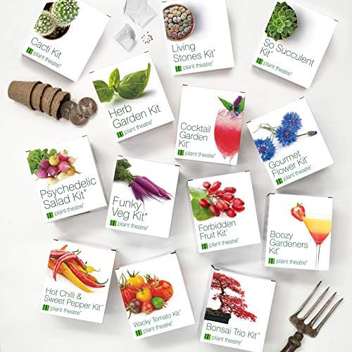 Plant Theatre So Succulent Kit - Gift Seed Kit with Super Succulent Plant Varieties to Grow, So Easy to Care for!